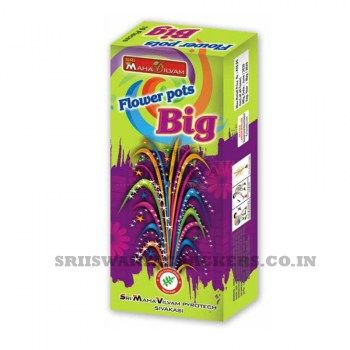flower_big_amu