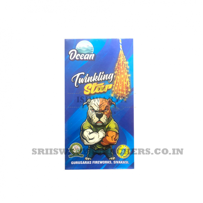 1 1/2" Twinkling Star