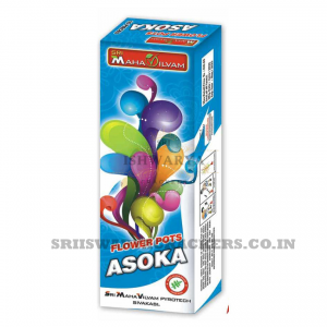 Flower Pots Asoka